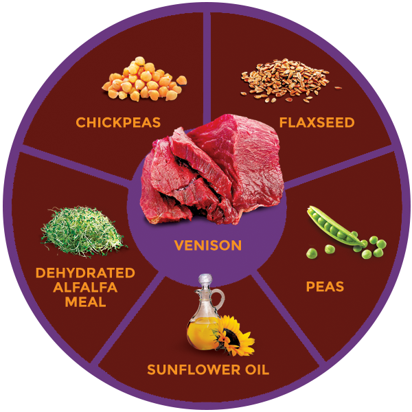 QUADRANT_KANGAROO