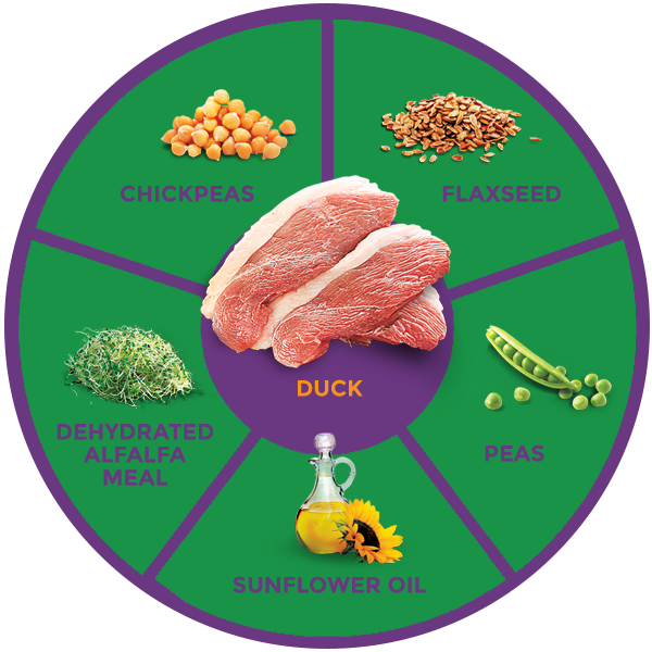 QUADRANT_DUCK