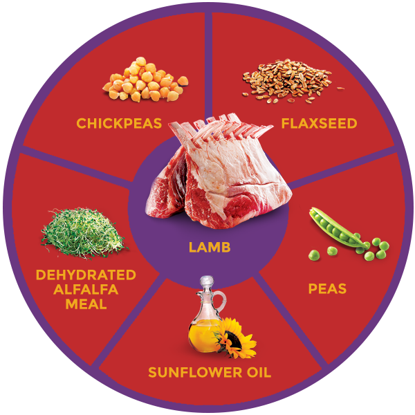 QUADRANT_KANGAROO