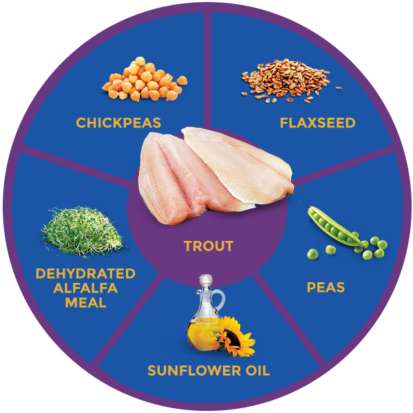 QUADRANT_TROUT