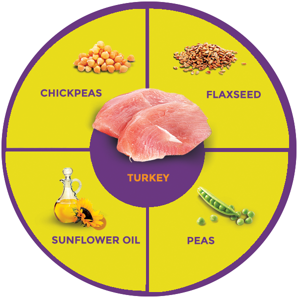 QUADRANT_TURKEY