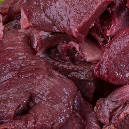 Venison