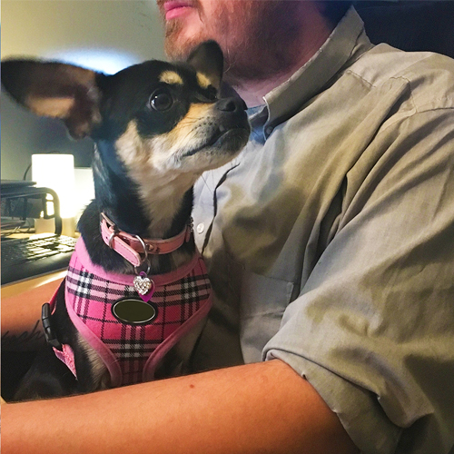 BLOG_2018-06-13_Office-Dog_Julie_no-titles 500x500