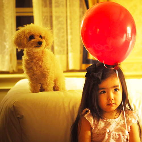 12.14.18 - Kid Pet - Zig002 500x500
